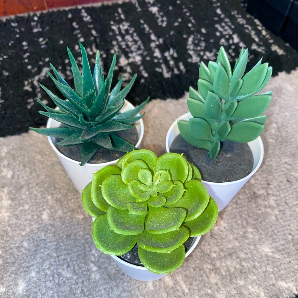 Faux Succulent bundle